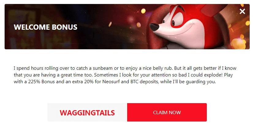 red dog casino bonus